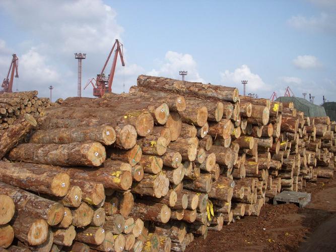 辐射松木材为中密度,结构均匀,收缩效率平均,稳定性强的优质木材.