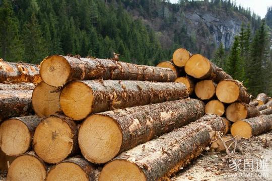 泰国批准森林采伐及木材出口修订草案