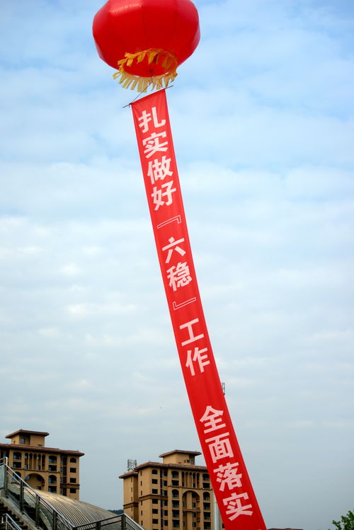 镜头带你逛 广元造 建材产品产销对接会