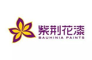 十杰木器装修涂料 它们卓越在哪里